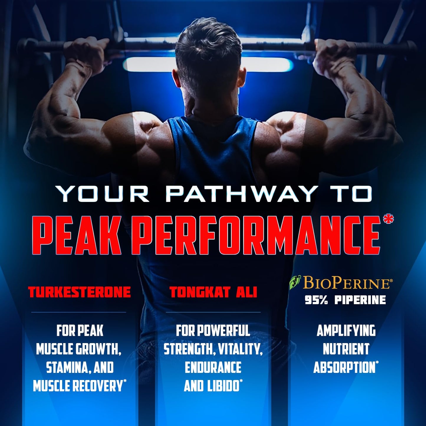 Turkesterone 15,000mg [Max Potency] + BioPerine® for High Absorption Supplement with Tongkat Ali - Increase Lean Muscle Growth & Recovery, Drive & Stamina - USA Made & Non GMO - 120 V Capsules