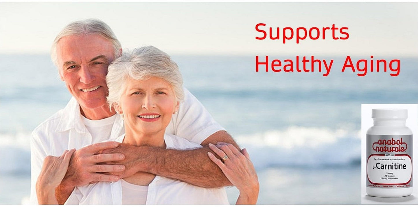 Anabol Naturals L-Carnitine 120 Capsules- 500mg Pure L-Carnitine Per Capsule, 120 Servings