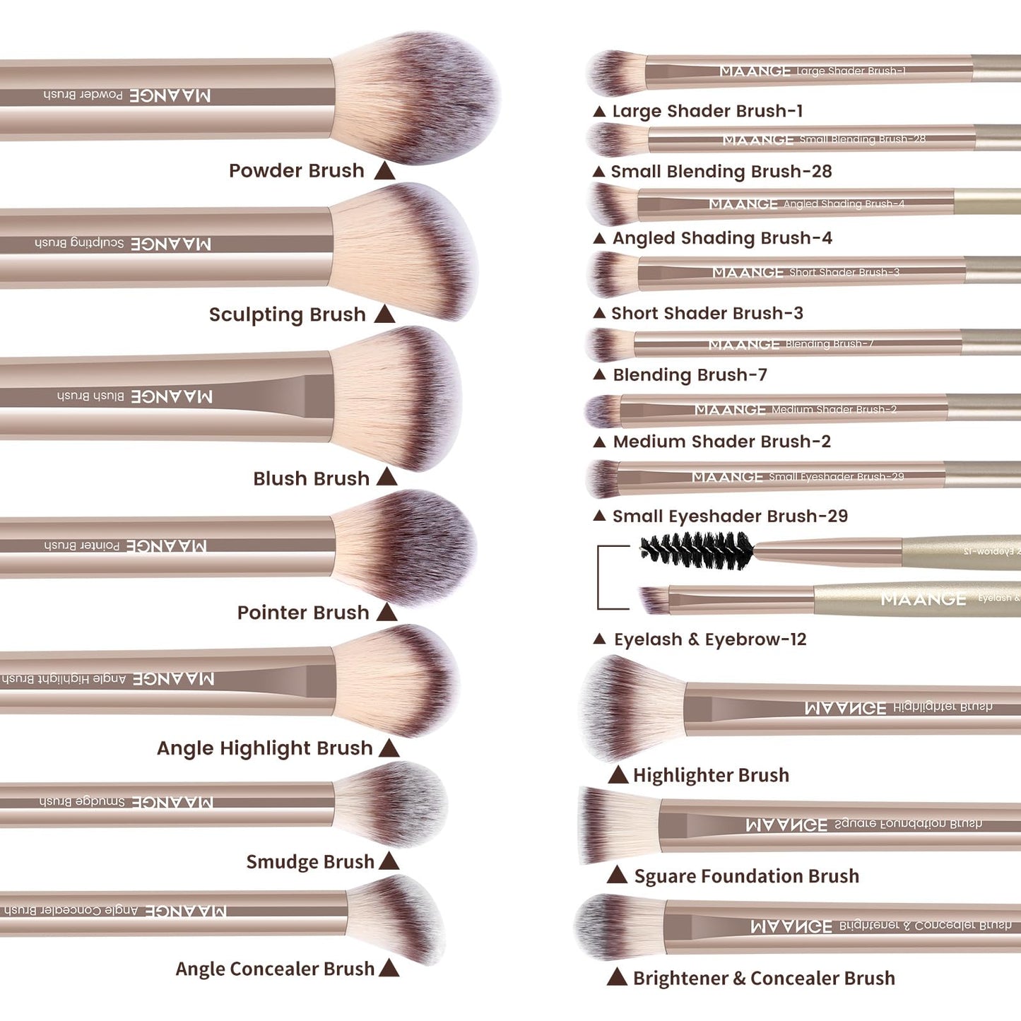 MAANGE 18 Pcs Makeup Brushes with Laser Bag, Premium Synthetic Makeup Brush Set Professional Makeup Tools Eyeshadow Eyebrow Foundation Blush Concealer Face Powder Blending Brushes Kit-Champange Gold