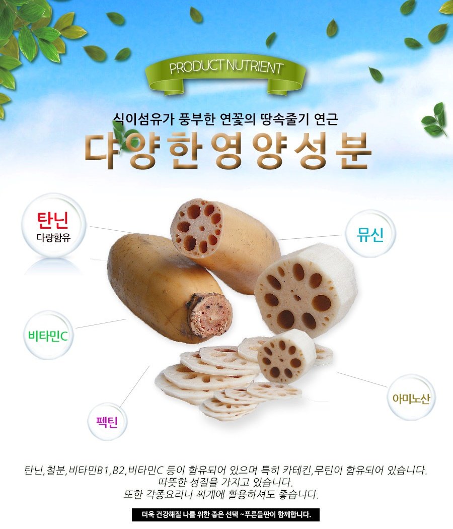 Lotus Root Powder Natural 100% Pure Healthy Fiber Vitamin C Amino Acid 연근 연근분말 연근가루 (100g)