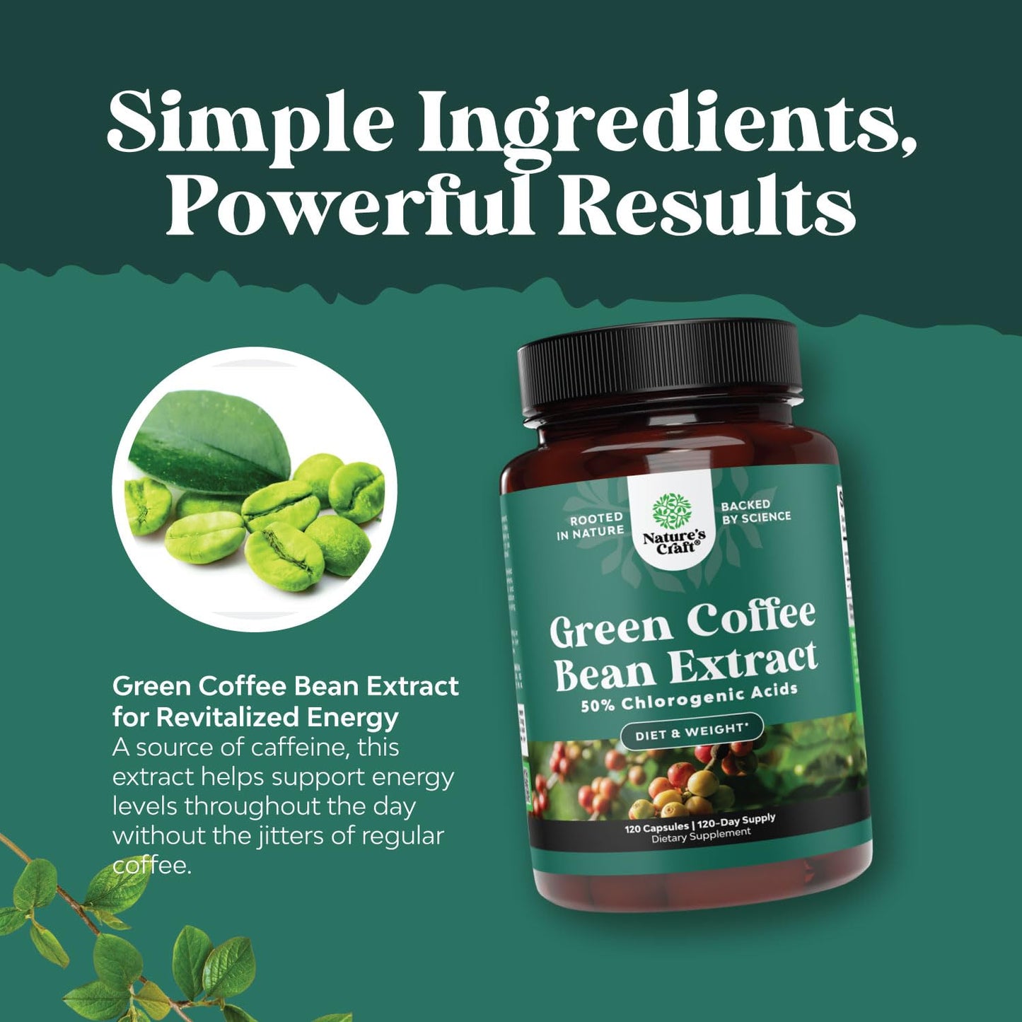 Green Coffee Bean Extract for Weight Loss - Weight Loss Pills for Women and Men - Appetite Suppressants for Weight Loss with Chlorogenic Acid - Herbal Fat Burner to Assist with Weight Loss 120 Count