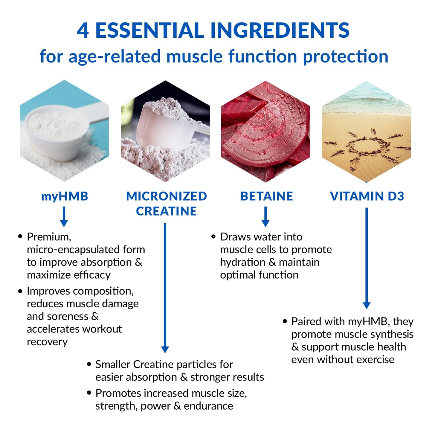 BioTrust Ageless Muscle Builder - Creatine HMB Powder with Vitamin D3 & Betaine - Build & Preserve Naturally Declining Muscle Mass & Strength - Fruit Punch, 30 Servings
