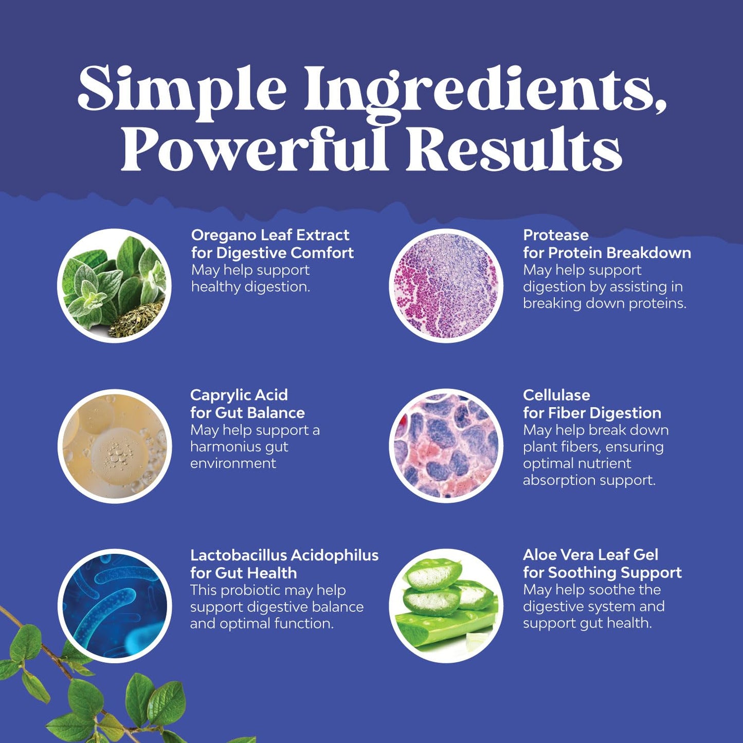 Natures Craft Candi-Clear Body Cleanse Detox for Women - Anti Overgrowth Gut Detox for Women with Caprylic Acid Black Walnut Wormwood and Oregano - Full Body Cleanse with Pre and Probiotics