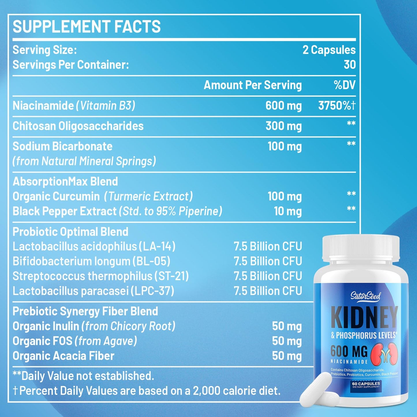 Kidney Support Supplement - Kidney Cleanse Detox & Repair with Chitosan Oligosaccharide, Niacinamide 600mg, Curcumin, Black Pepper, Prebiotics & Probiotics - Kidney & Phosphorus Levels - 60 Capsules