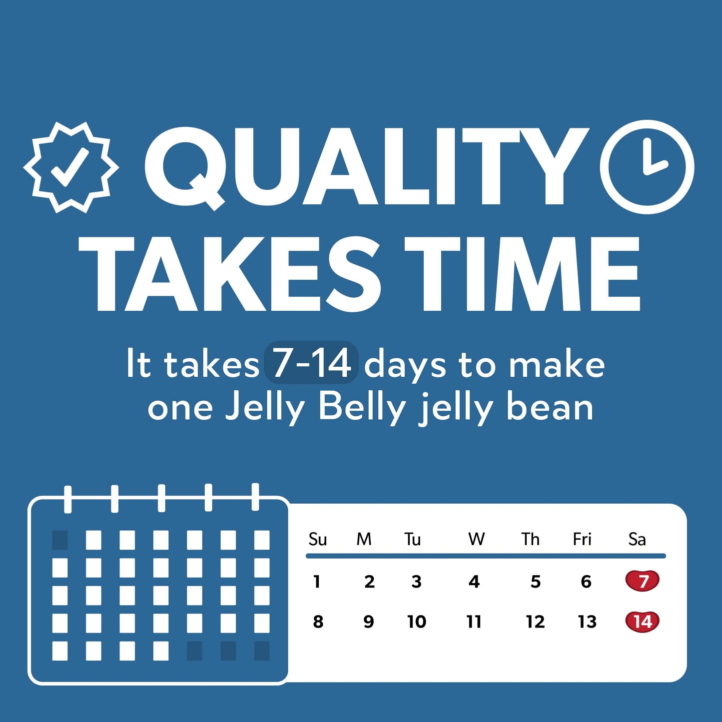 Jelly Belly Sugar Free  825 oz Bag  Official Genuine Straight from the Source