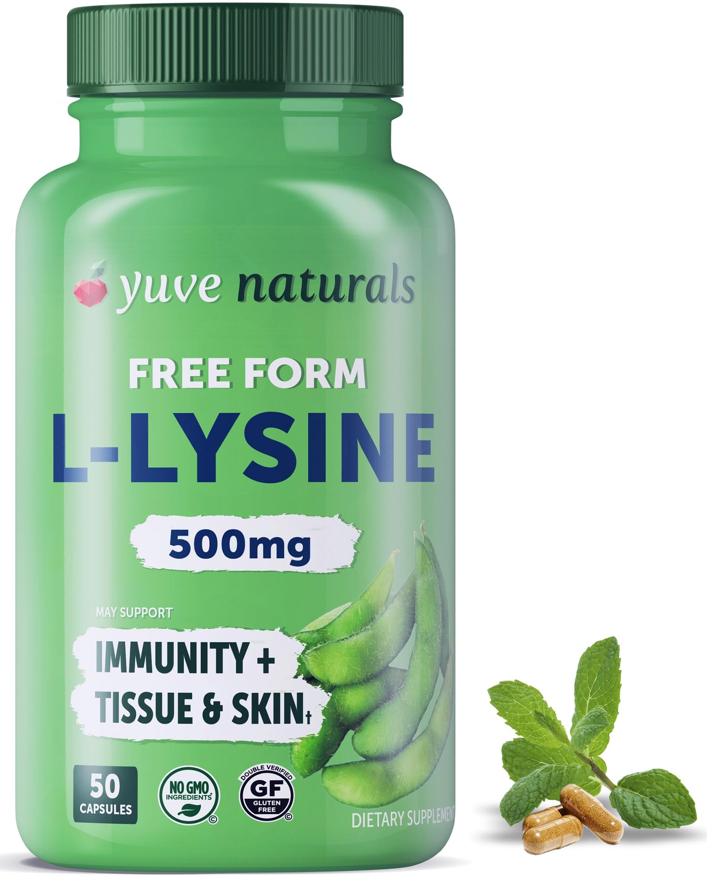 Yuve L-Lysine 500 mg Essential Amino Acid - Immune, Cold Sores & Collagen Synthesis Support - Maintain Healthy Arginine Levels & Optimal Calcium Absorption - Vegan, Gelatin-Free, Non-GMO - 50 Capsules