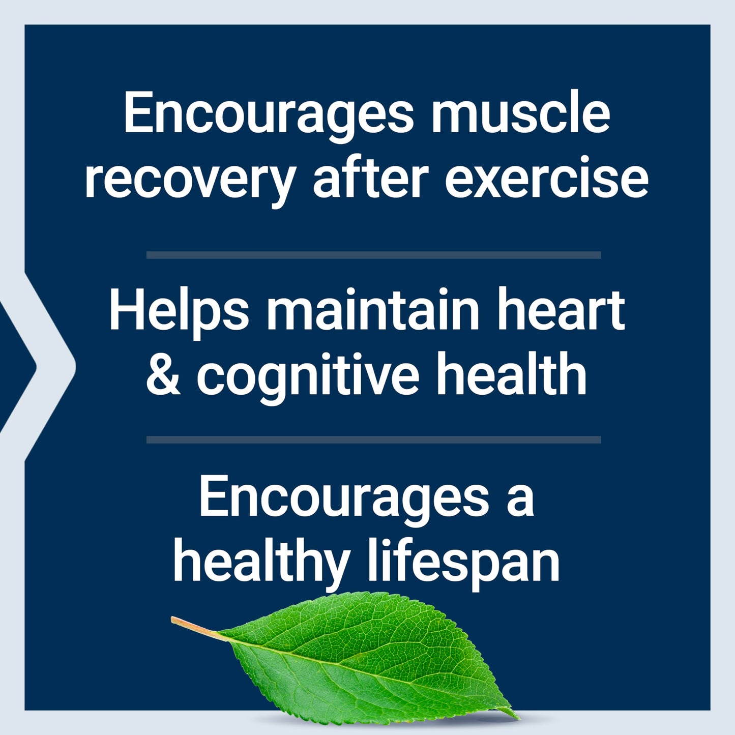 Life Extension Taurine, Pure Taurine Amino Acid Supplement, Heart, Liver and Brain Health, Longevity, Muscle and Exercise, 1000 mg dose, Non-GMO, Gluten-Free, Vegetarian, 90 Vegetarian Capsules