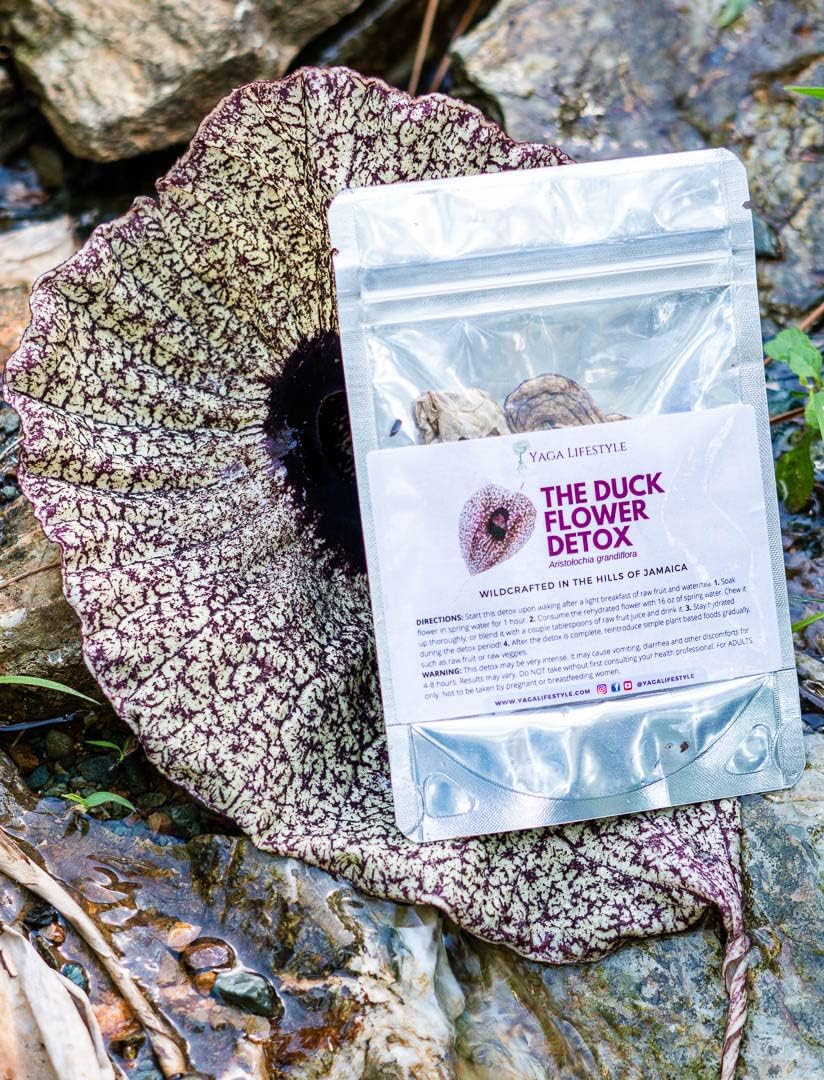 Jamaican Duck Flower, Flor De Pato - Dr. Sebi Approved, Wildcrafted for Holistic Wellness Yaga Lifestyle