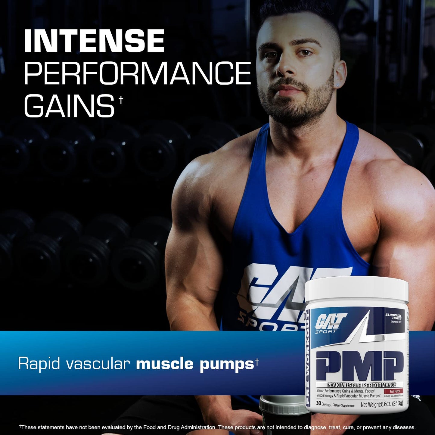 GAT SPORT PMP (Peak Muscle Performance), Pre-Workout, 30 Servings (Fruit Punch)