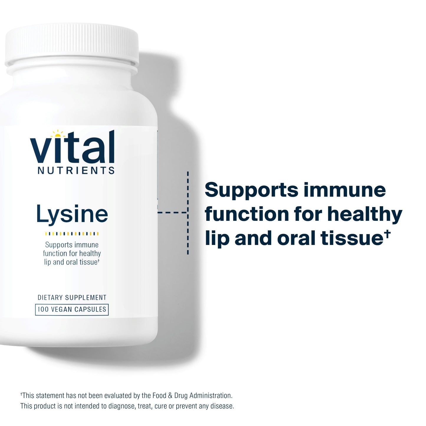 Vital Nutrients Lysine | Lysine Supplement Supports Healthy Lip and Oral Tissue | Immune Support Supplement Promotes Calcium Absorption | Gluten, Dairy, Soy Free | Non-GMO | 100 Capsules