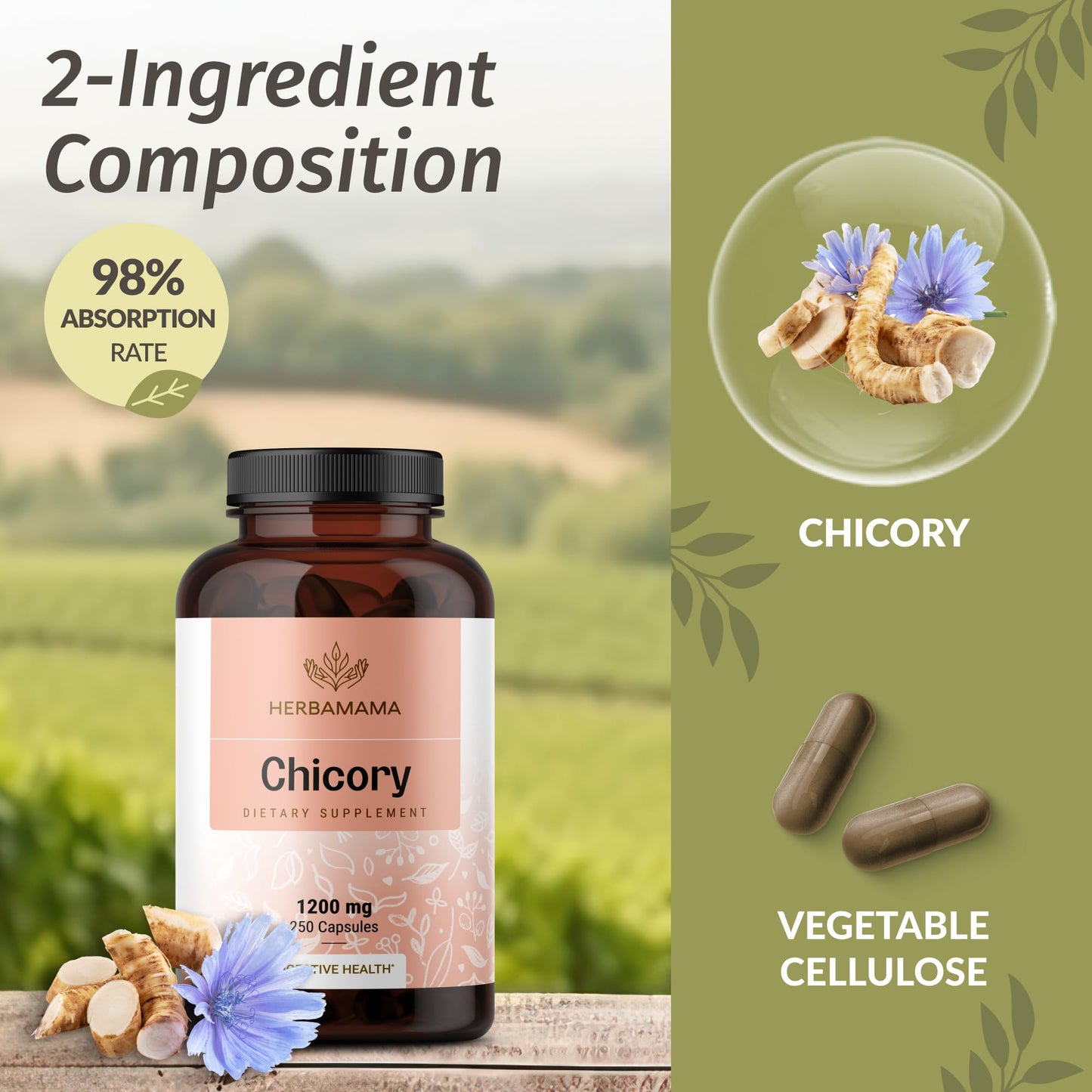 HERBAMAMA Chicory Root Fiber Capsules - 1200mg Chicory Root Powder for Gut Cleanse & Digestive Support - Vegan, Non-GMO Inulin Prebiotic Fiber Supplement, 250 Caps