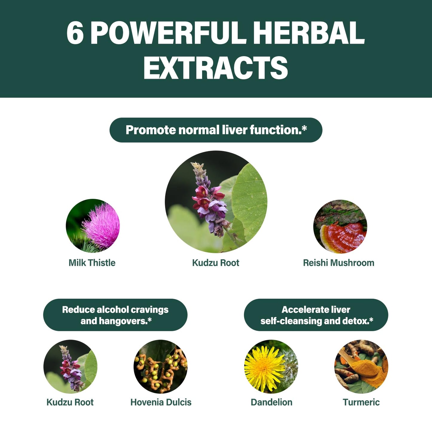 Fuenvegtal Herbal Liquid Drops, Natural Kudzu Extract Support Liver Health, Anti Alcohol Craving & Liver Cleanse Detox. 4oz-Original