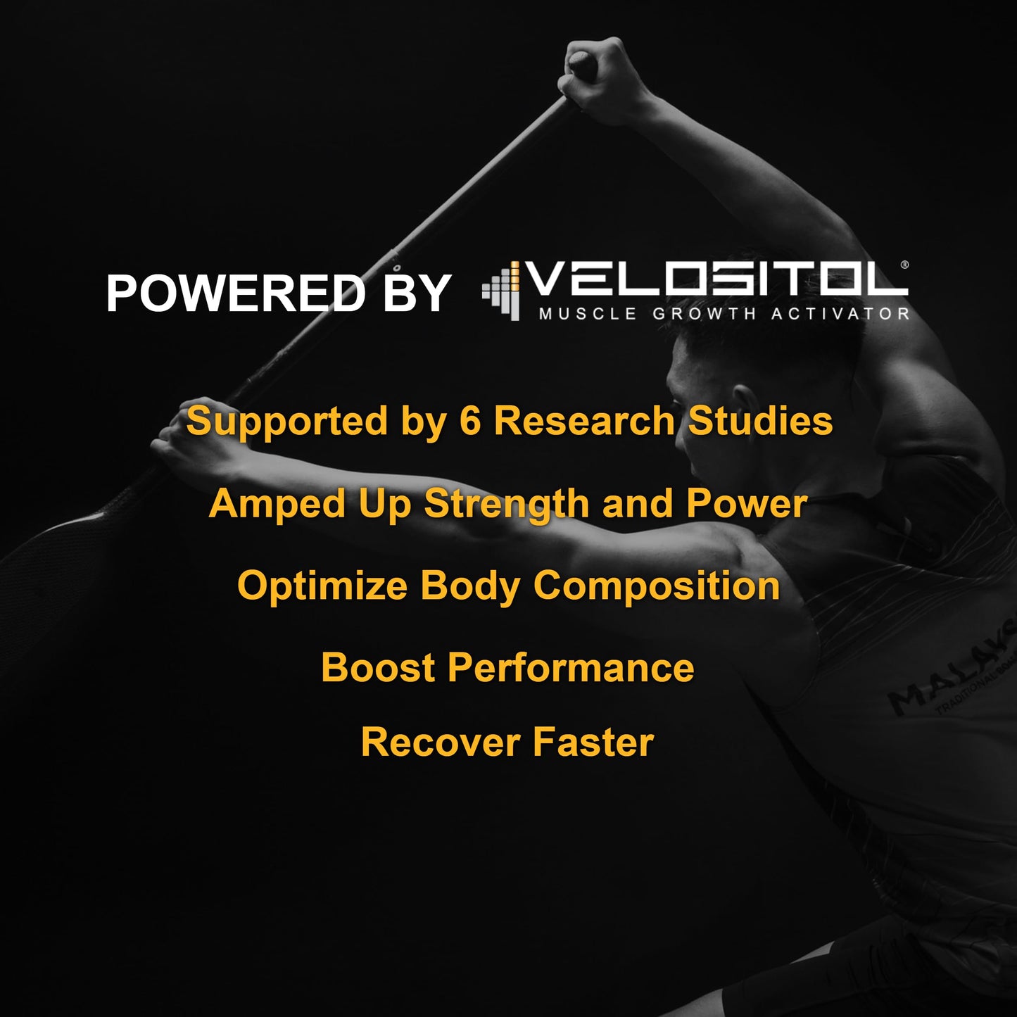 Vegan Sport Protein Powder Vanilla - 30g Plant Based Protein, VELOSITOL, BCAAs, Organic Greens & Fruits, Probiotics, Tart Cherry for Post Workout Recovery, Inform Sports Certified Keto - 20 servings