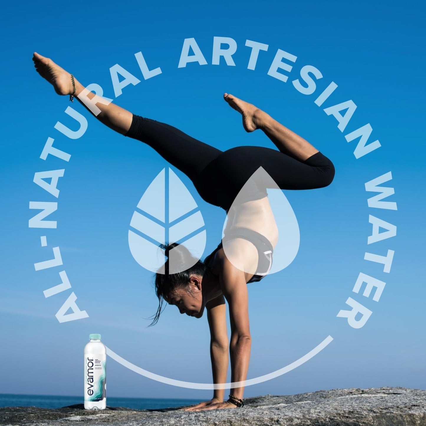 evamor Artesian Bottled Water  Single Source Naturally Alkaline and Full of Electrolytes Refreshing and Smooth Tasting Water for Hydration and Health 20 Fl Oz Bottles Pack of 12
