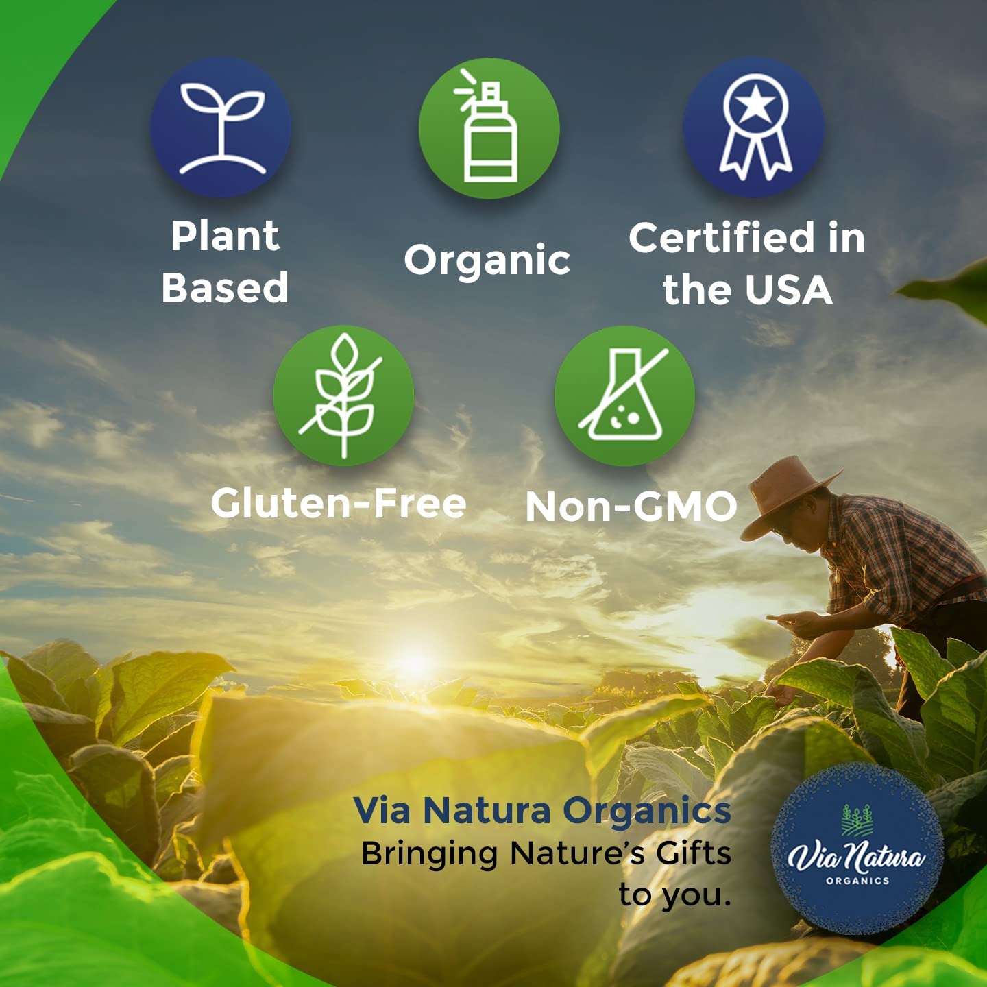 Via Natura Organics Apple Cider Vinegar Capsules 1000mg | Organic Herbal Supplement | 60 Capsules