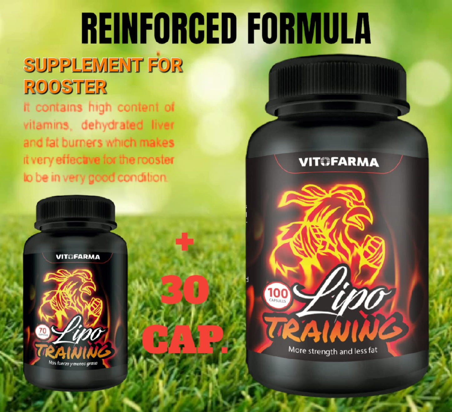 VITOFARMA Reductor de Grasa Corporal Lipo Training 100 CAPSULAS para Gallos, for Rooster