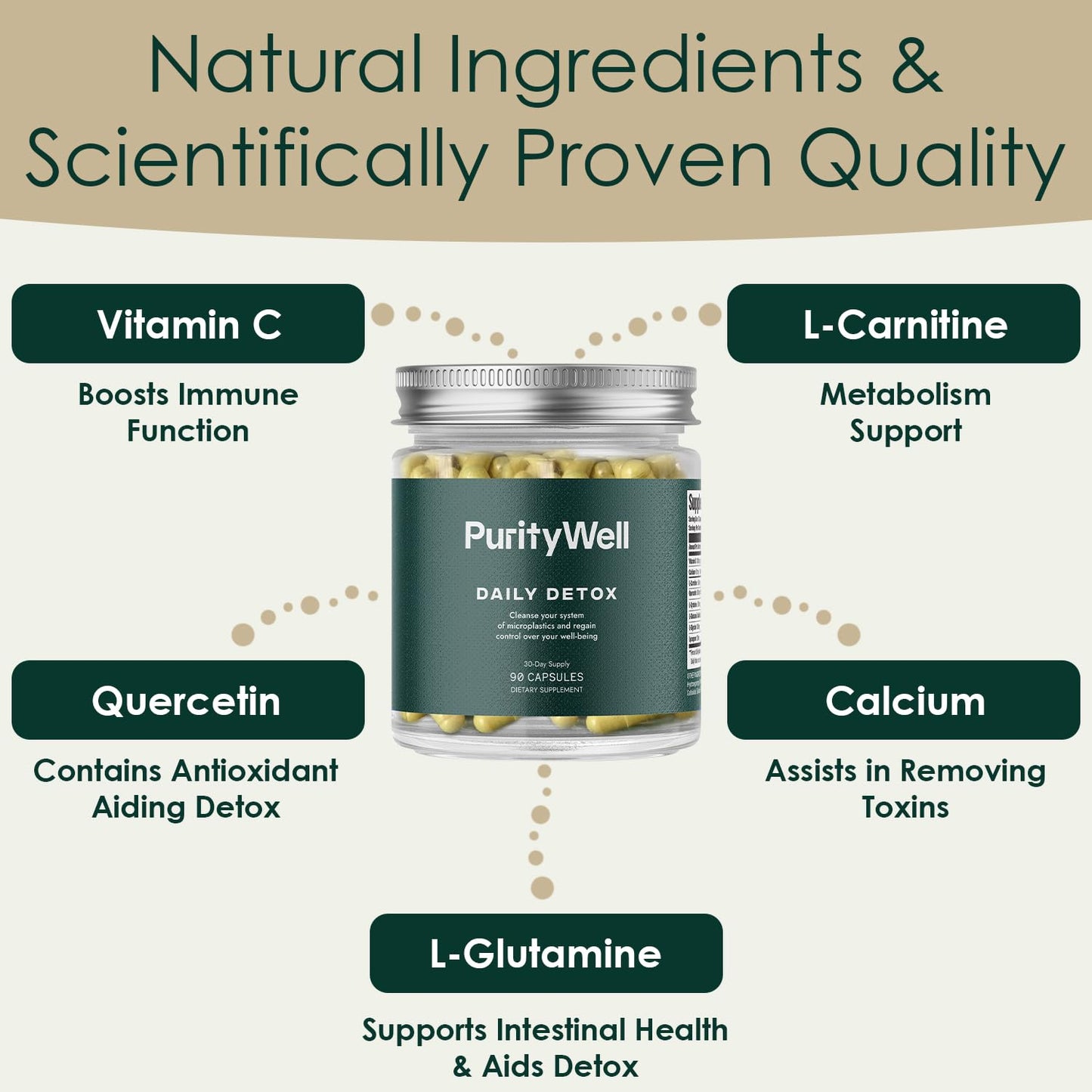 PurityWell Full-Body Support Supplement with Quercetin 500mg, Vitamin C & L-Cysteine - Supports Respiratory, Liver & Digestive Health - 90 Capsules