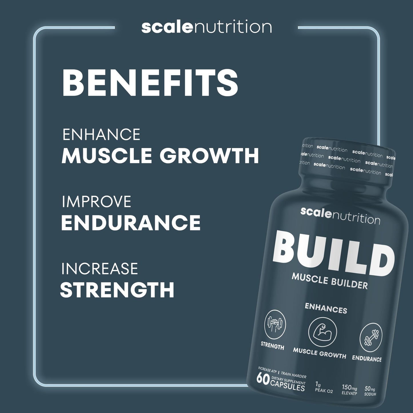 Scale Nutrition Build | Muscle Builder for Muscle Growth, Strength, Weight Gain, Endurance, Performance Enhancment for Men & Women | Trademarked Ingredients Peak02 & ElevATP | 60 Capsules