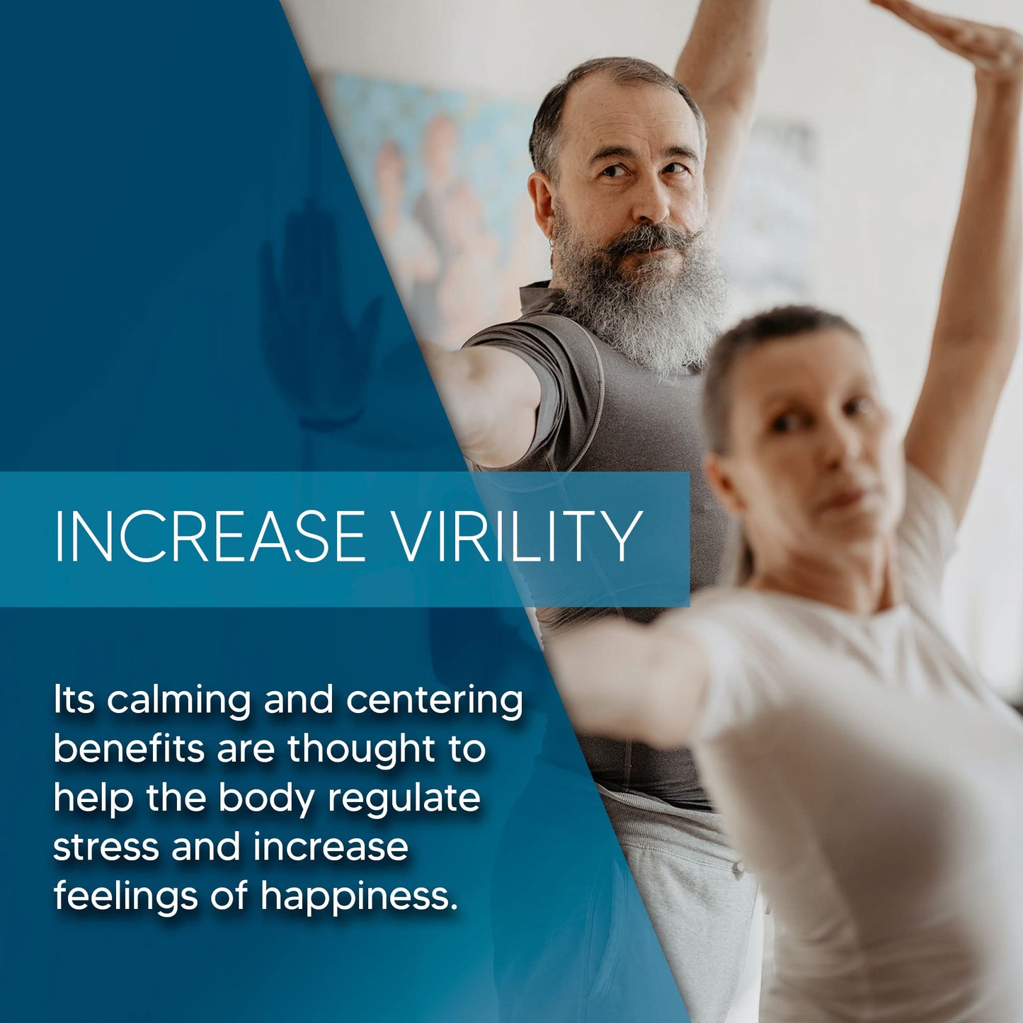 Roxinall Stamina Pills for Men - Made with L Arginine & Maca - Enhance Performance & Endurance, Build Stamina Feel Stronger, 60 Capsules