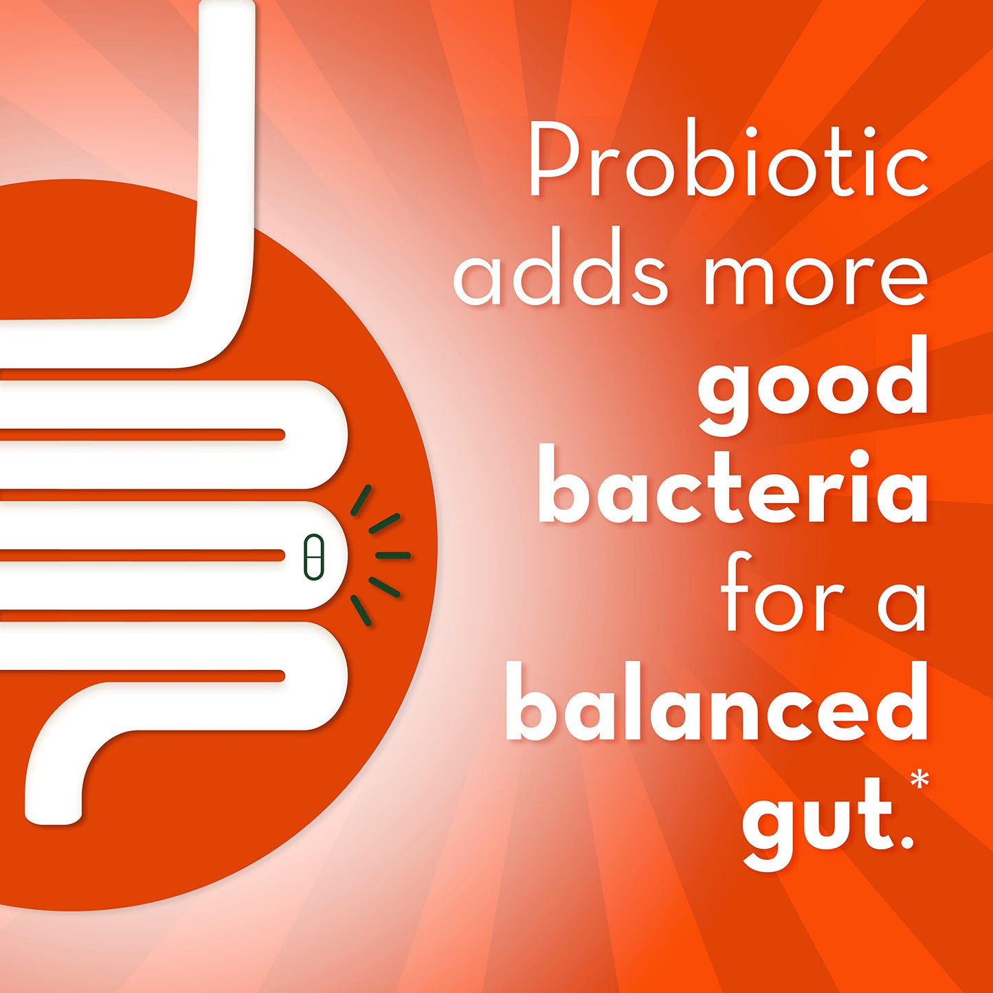 Align Probiotic Supplement (Packaging May Vary)