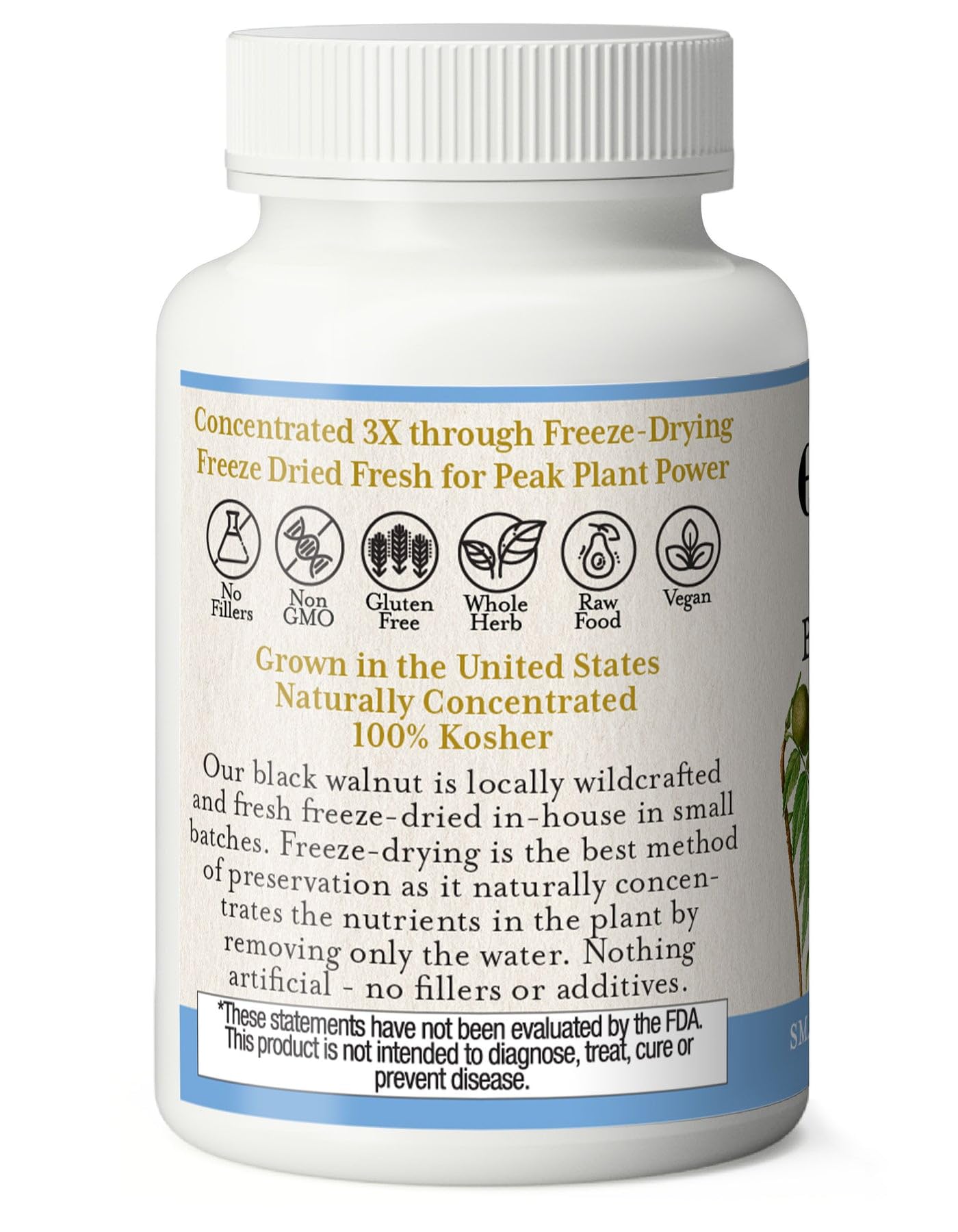 Eclectic Institute Raw Fresh Freeze-Dried Non-GMO Black Walnut | Intestinal Support, Detox & Cleanse | 90 CT (400 mg)