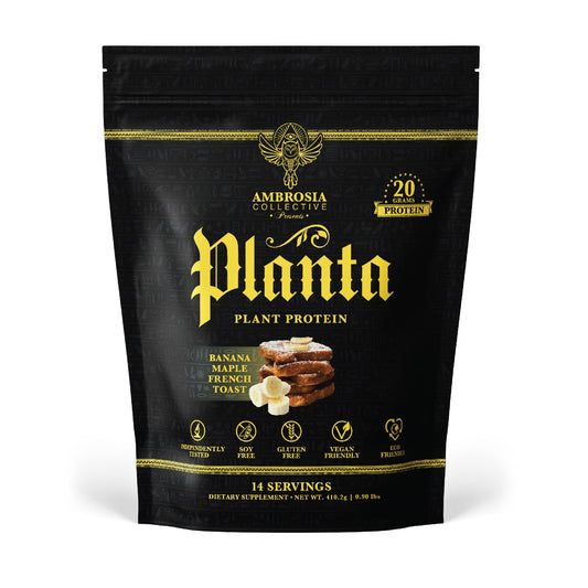 Ambrosia Planta - Premium Organic Plant-Based Protein | Vegan & Keto Friendly | Gourmet Flavors with No Bloating or Stomach Upset | No Added Sugar | 14 Servings | (Banana Maple)