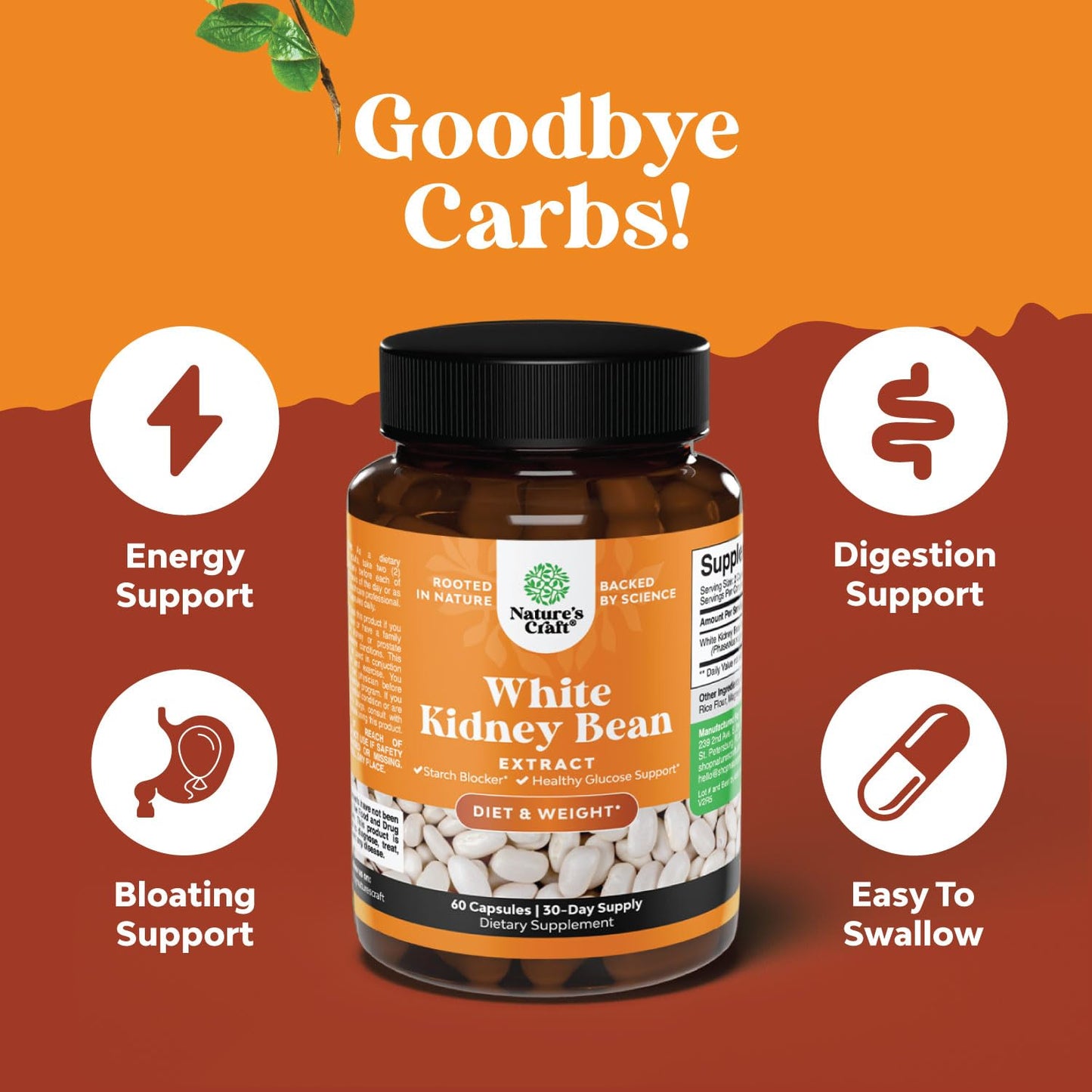 White Kidney Bean Extract Carb Blocker - White Kidney Beans Supplement for Weight Loss & Reduce Calories from Starchy Food - Glucose Support & Carb Control Supplements - 60 Capsules