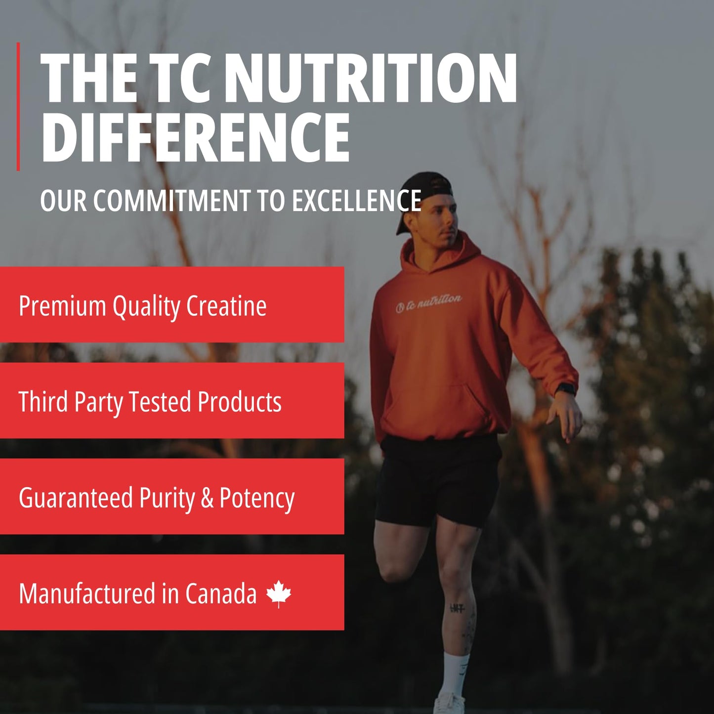 TC Nutrition Creatine Monohydrate Powder 5g - Pure Creatine Powder for Increased Strength, Muscle Growth, Improved Endurance and Performance - for Men & Women - Unflavored (60 Servings)