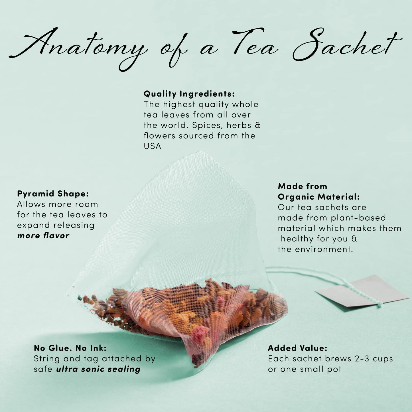 Tutti Fruity Herbal Tea for Children by La Tea Dah  Decaf Tea for Kids  Rooibos Hibiscus  Passion Fruit Tea for Kids Tea Set  Birthday Tea Party  Adventure Land 12 Sachets