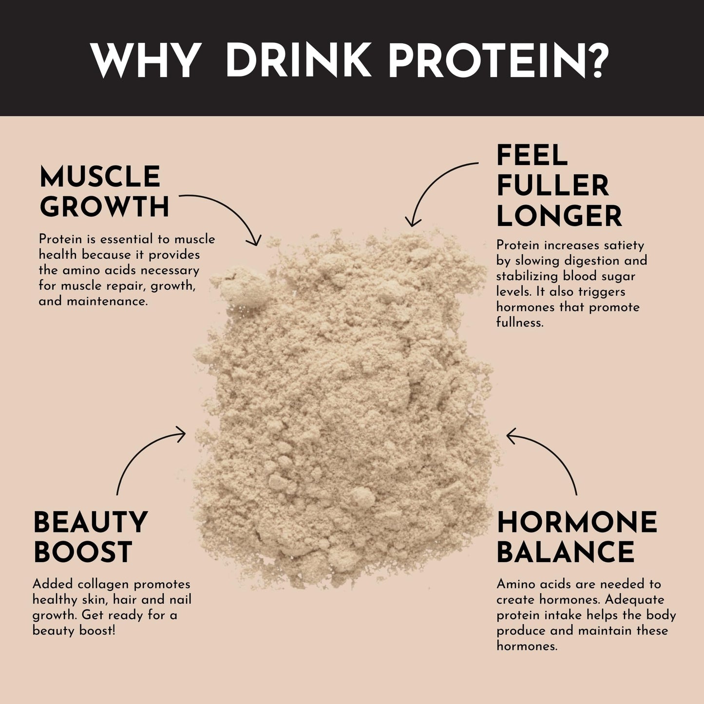 Just Ingredients Protein Powder | Snickerdoodle Protein Powder Made With 100% Grass Fed, Non Denatured Whey | Four Different Protein Sources | Organic Whole Food Ingredients | 15 Serving | 22g protein