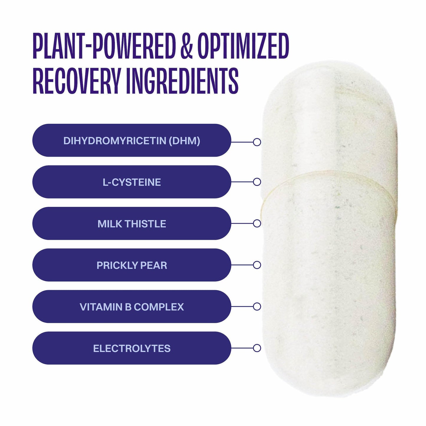 No Days Wasted DHM Detox, 60 Capsules (30 Servings) - Jar - Take During Evening for Better Next Day and Recovery