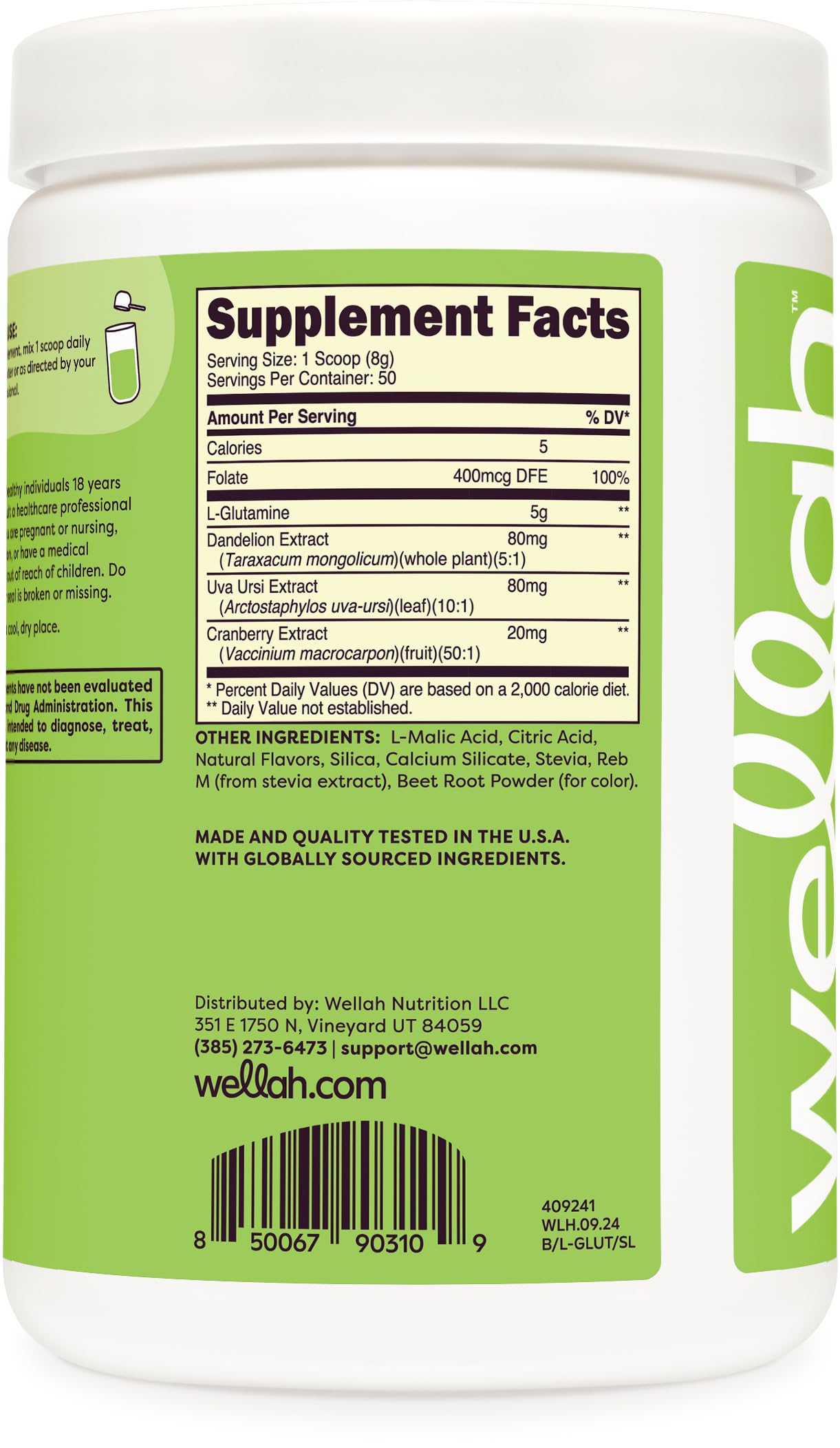 Wellah L-Glutamine Powder Strawberry Kiwi (50 Servings) - 5g L-Glutamine Per Serving, Sweetened with Stevia