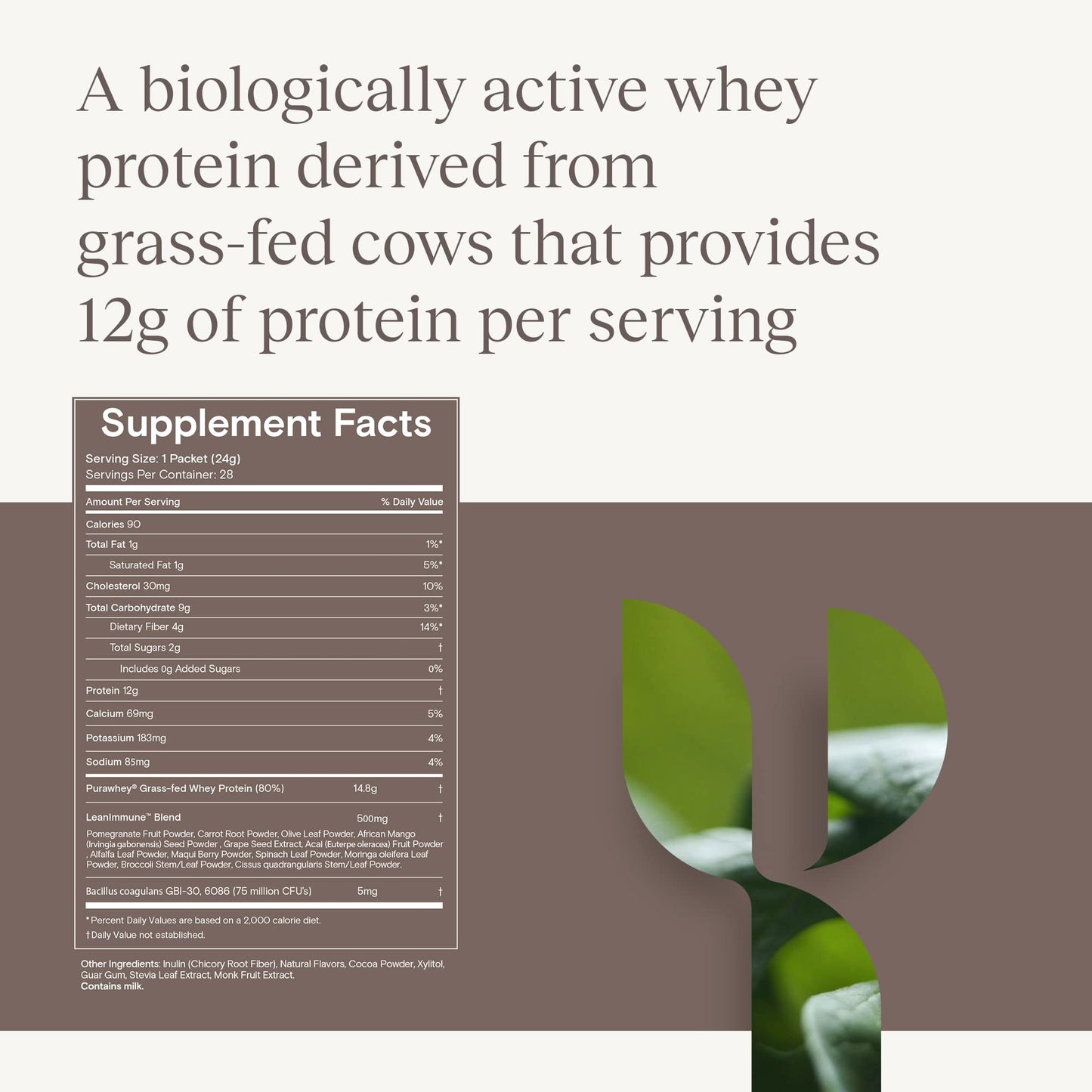 Yoli Essential Shake YES Whey Protein Powder from GrassFed Cows  28 Packets Chocolate