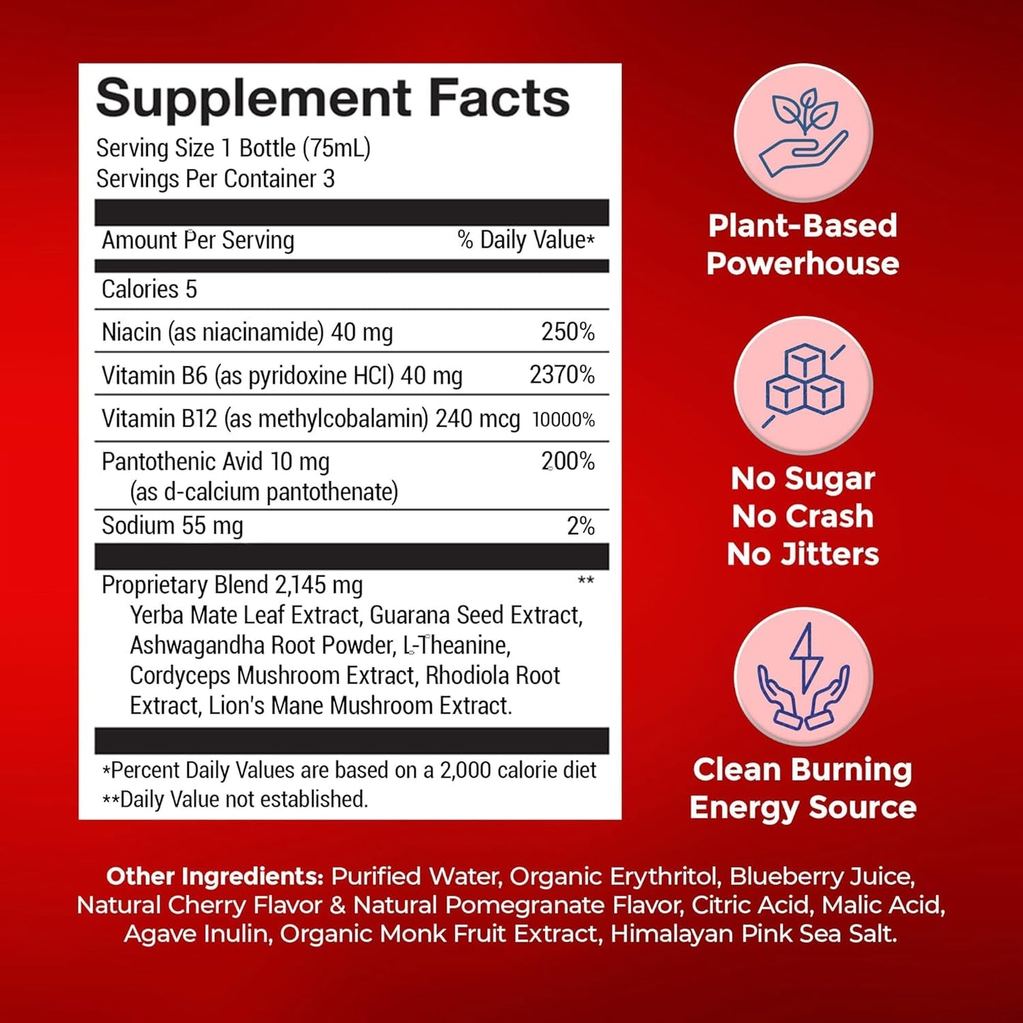 Wholesome Organics - Sugar Free Energy Shots Extra Strength Natural & Healthy Energy Drinks - Plant-Based Energy Supplements w/Vitamin B12 Lion's Mane & Yerba Mate - Cherry Pomegranate Flavor 48 Pack