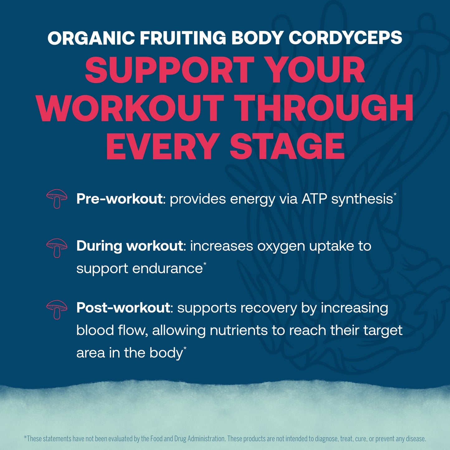 True Grace ElectroMag - 16 Stick Packs - Watermelon - Electrolyte Powder for Rapid Hydration - Sodium, Potassium, Magnesium & Cordyceps - Zero Sugar & Carbs - Non-GMO - 16 Total Servings