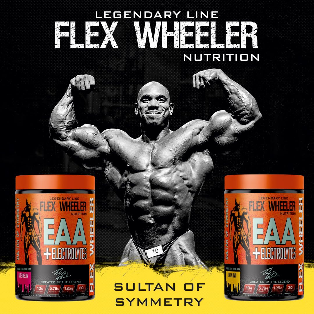 FLEX WHEELER NUTRITION EAA+Electrolytes | 420g (30 Serving, Fruit Punch)