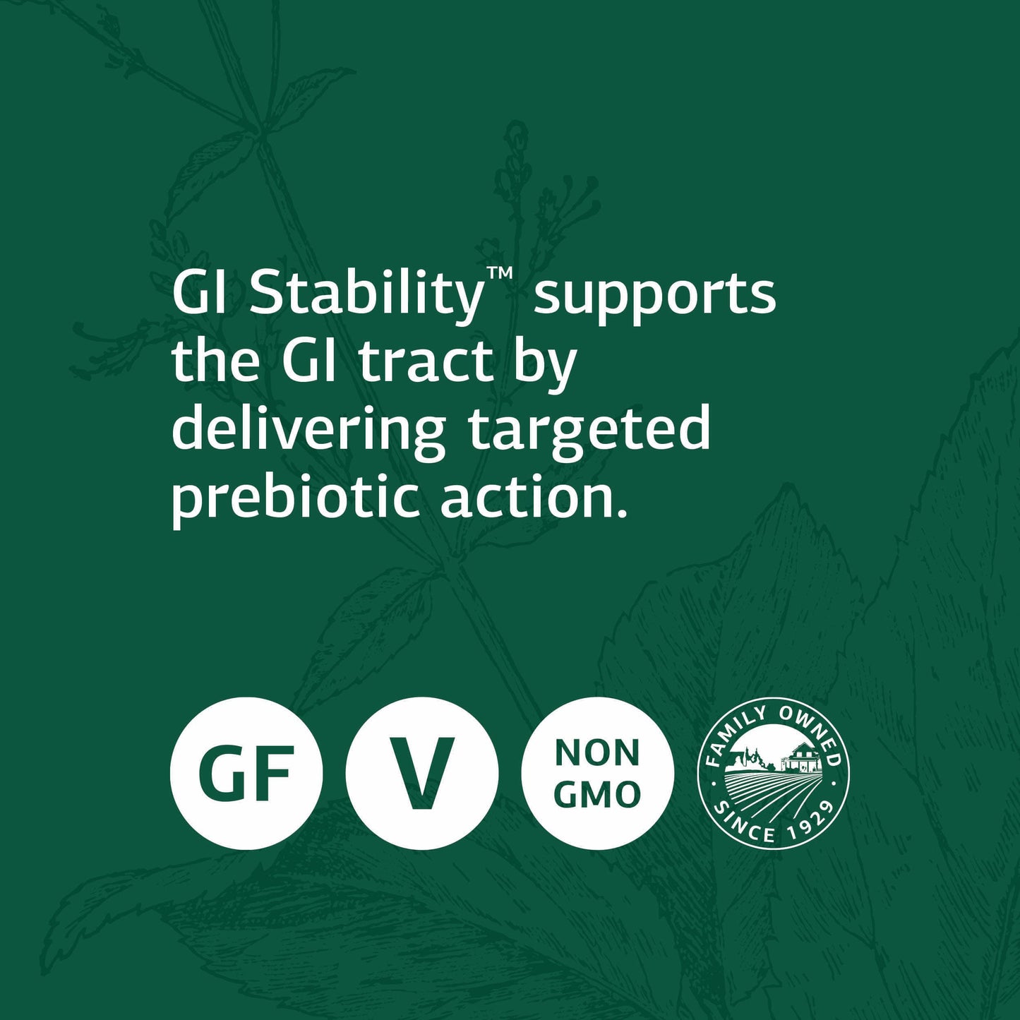 Standard Process Inc. GI Stability - 90 Wafers