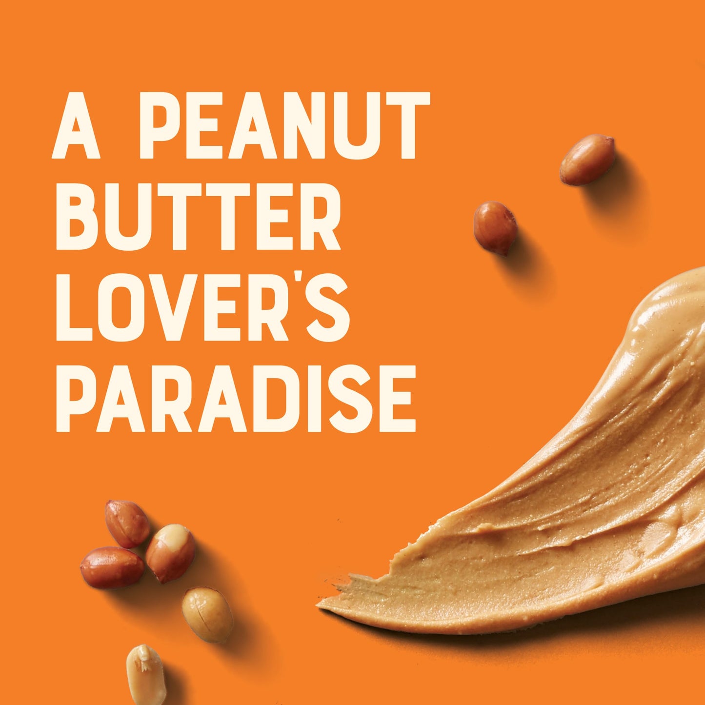 CLIF Nut Butter Bar  Peanut Butter  Filled Energy Bars  NonGMO  USDA Organic  PlantBased  Low Glycemic  176 oz 5 Pack