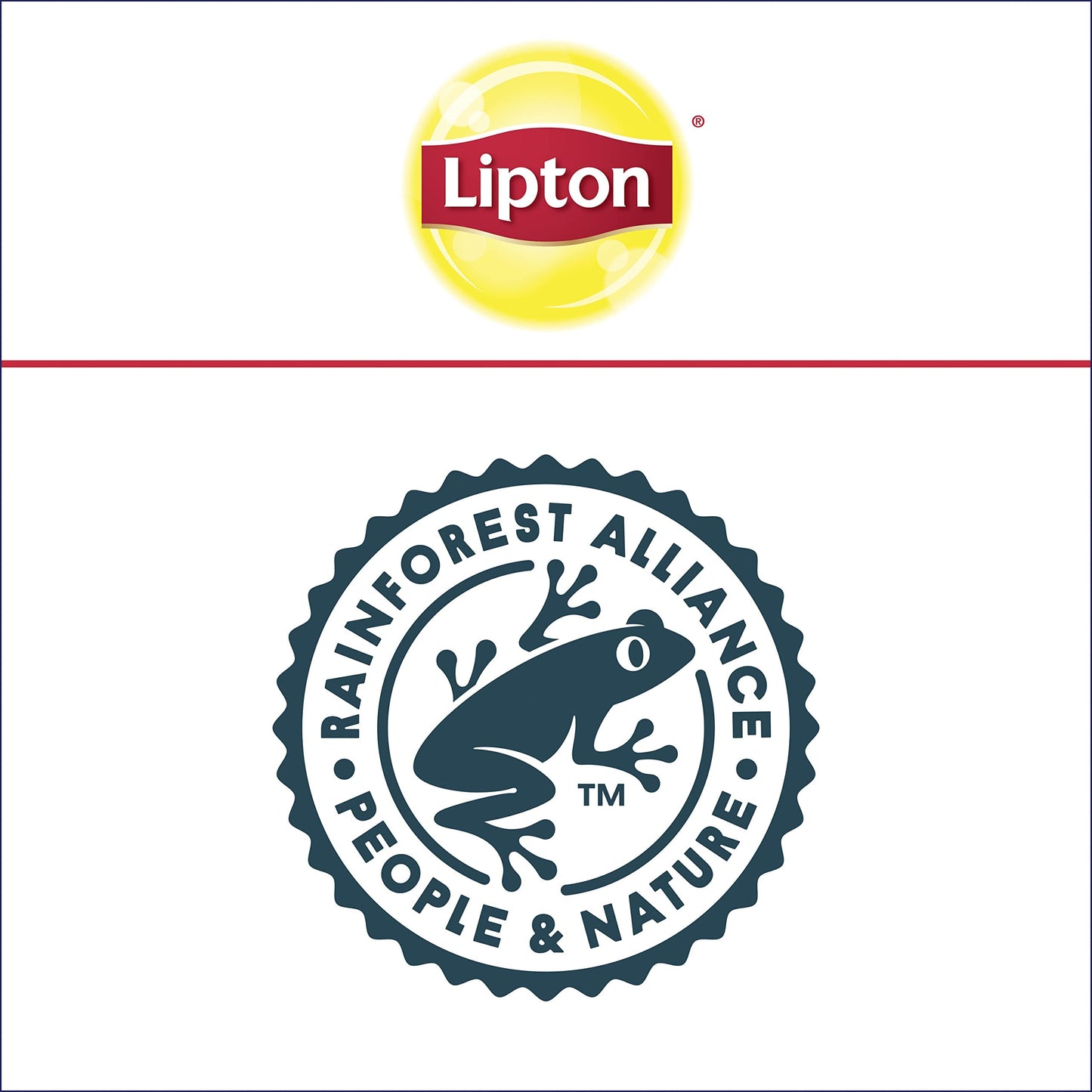 Lipton Decaffeinated Green Tea Bags Unsweetened Teabags for Decaf Hot Tea or Decaf Iced Tea 240 Total Tea Bags 40ct  Pack of 6