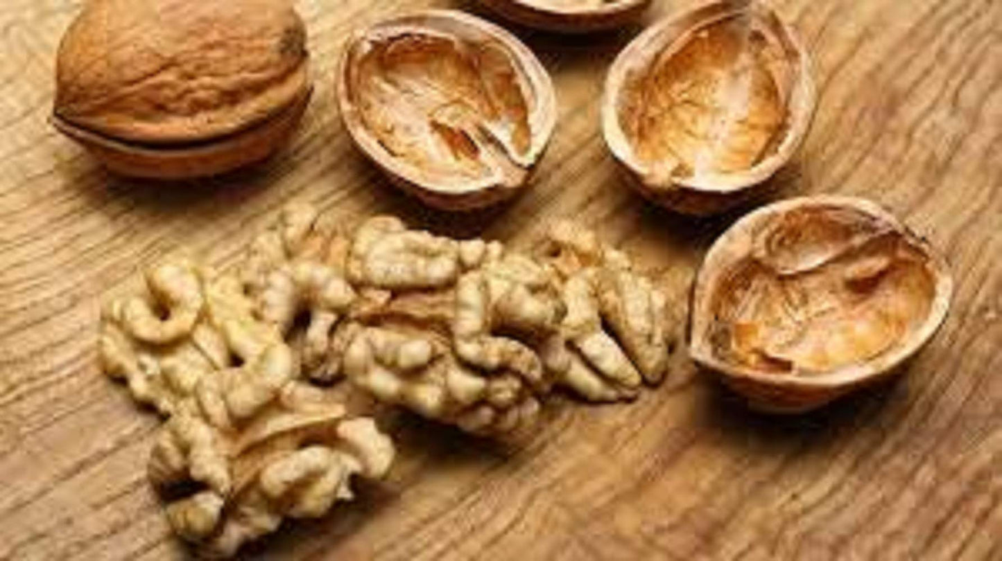 In Shell Walnuts 2 Lbs  Large Natural California Walnuts  Great Source of Omega 3  Fresh New Crop  Bursting with Flavor  Farm Fresh Nuts Brand