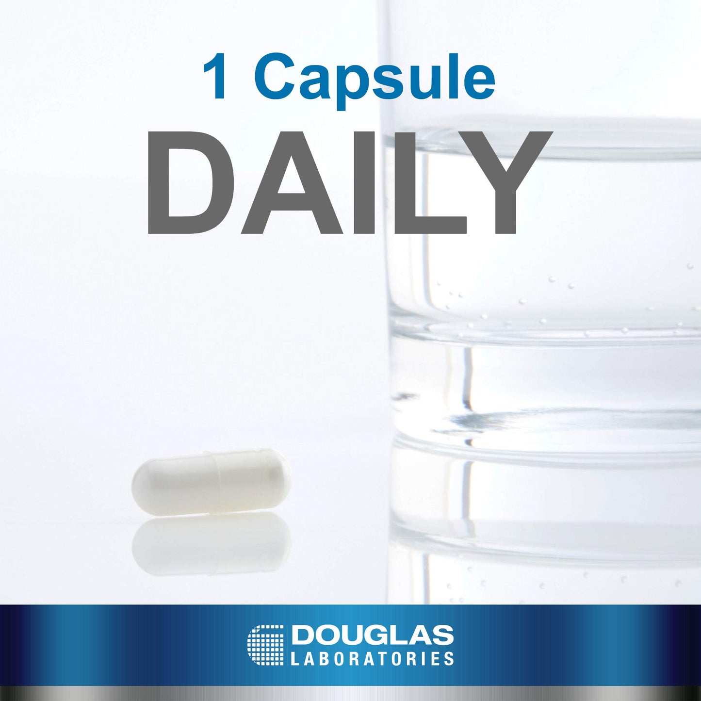 Douglas Laboratories Acetyl L-Carnitine 500 mg | Supports Brain and Nerve Function During The Normal Aging Process* | 60 Capsules
