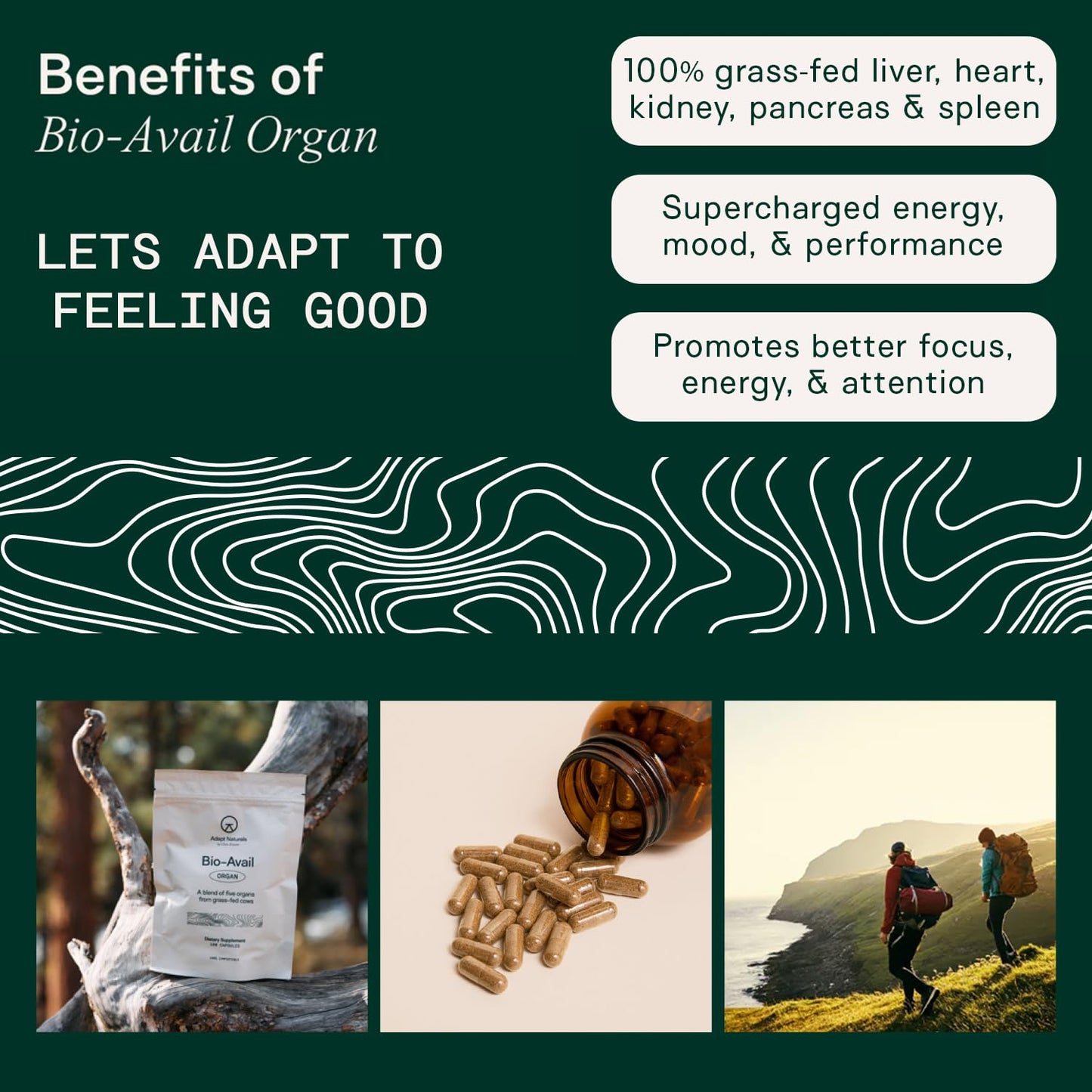 Adapt Naturals Organ Supplement, Bioavailable Grass Fed Beef Liver Capsules, Blend of Liver, Heart, Kidney, Pancreas & Spleen, Support Liver Cleanse Detox & Repair | Source of CoQ10-30 Days Supply