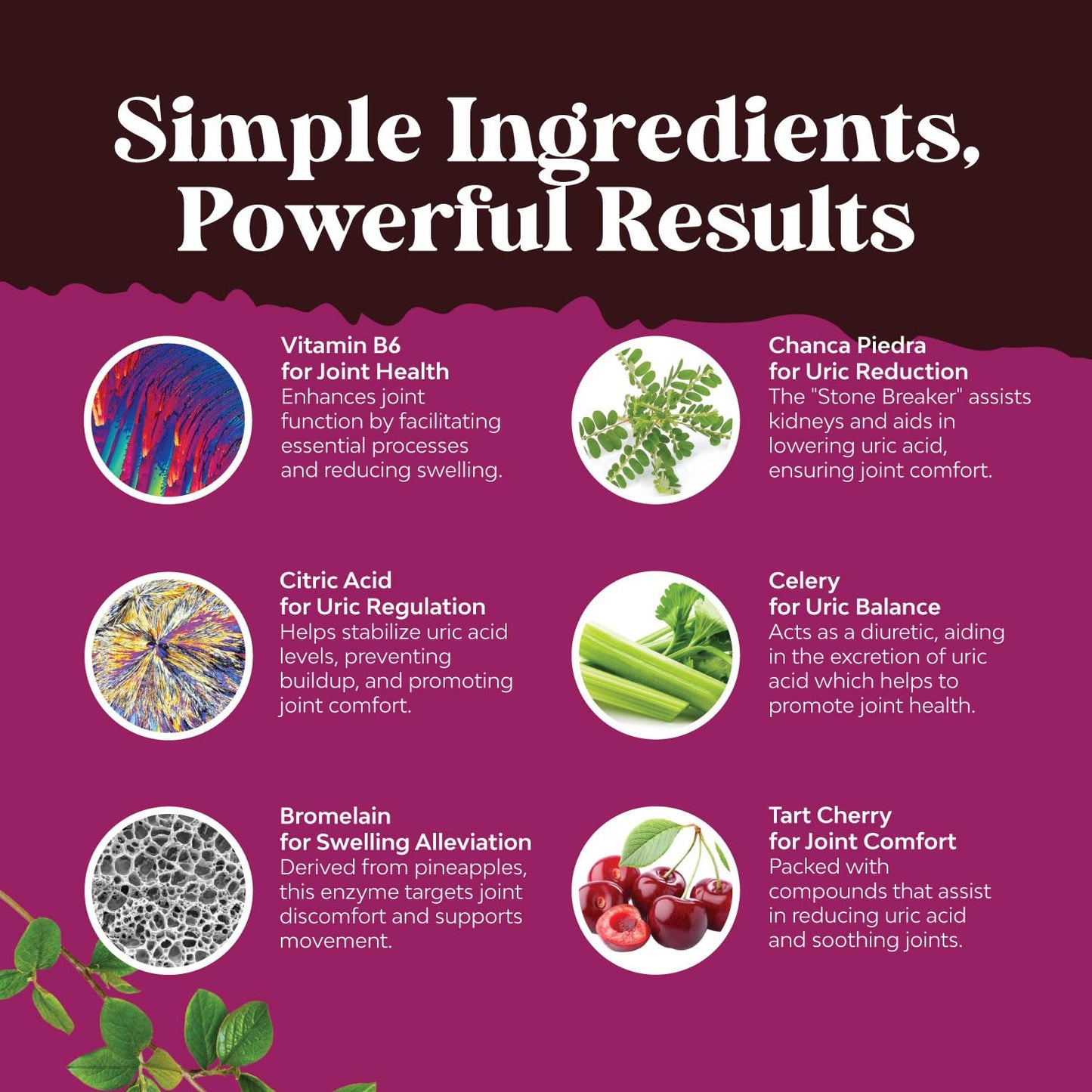 GCleanse Uric Acid Support Supplement - Uric Acid Cleanse Joint Support Supplement with Chanca Piedra Tart Cherry Celery Seed Extract and Bromelain - Herbal Liver and Kidney Cleanse Detox