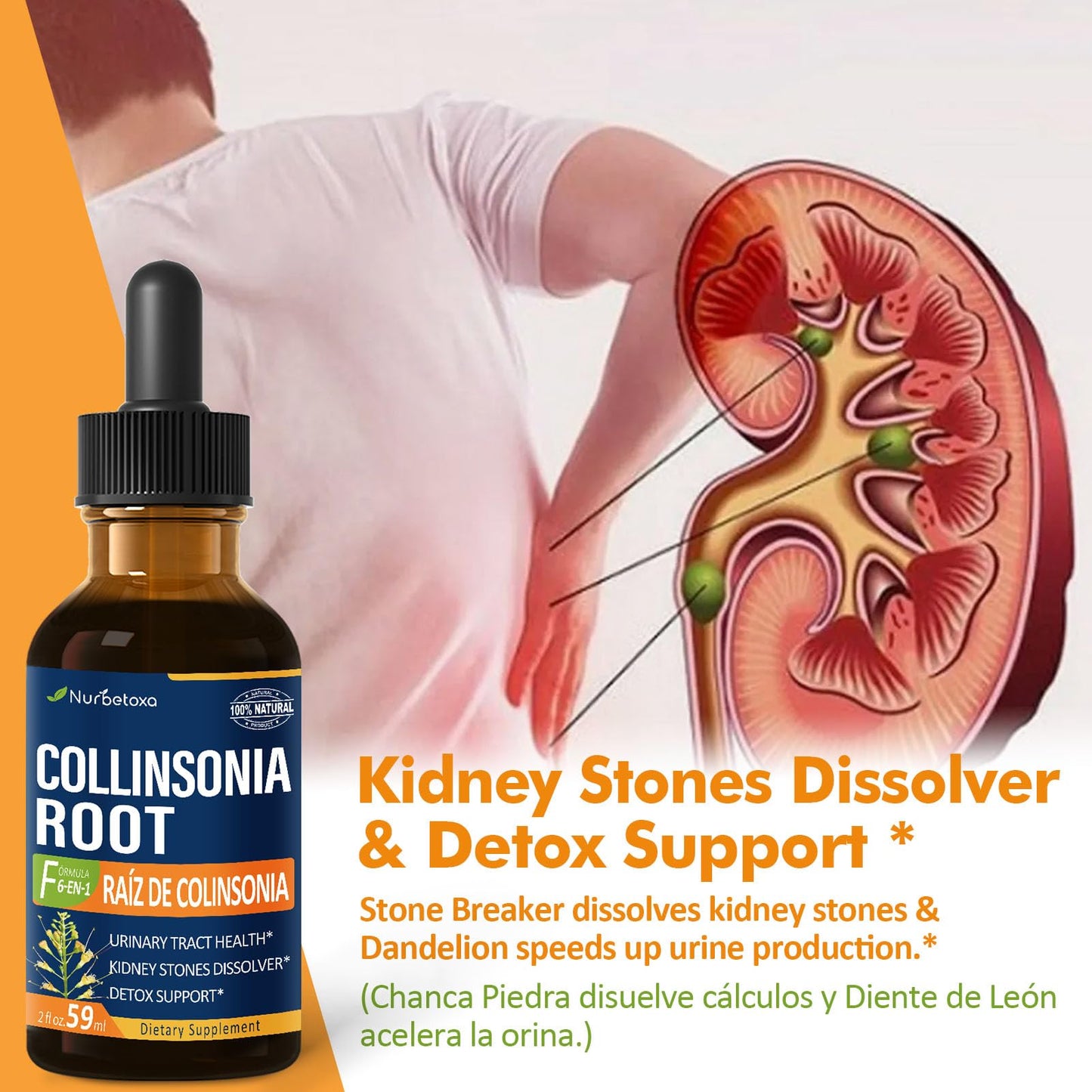 Nurbetoxa Collinsonia (Stone Root) Drops for Urinary Tract Health, Natural Herbal Formula Supplement w/Stone Breaker Chanca Piedra Extract Support Kidney Stones Dissolver & Detox Cleanse. 2oz