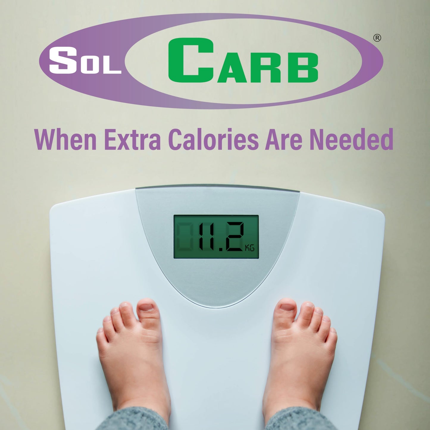 SolCarb Unflavored Carbohydrate Powder Supplement 454g Can 6-pack | Easily Mixes into Liquids and Foods, Lactose-Free, Gluten-Free by Medica Nutrition