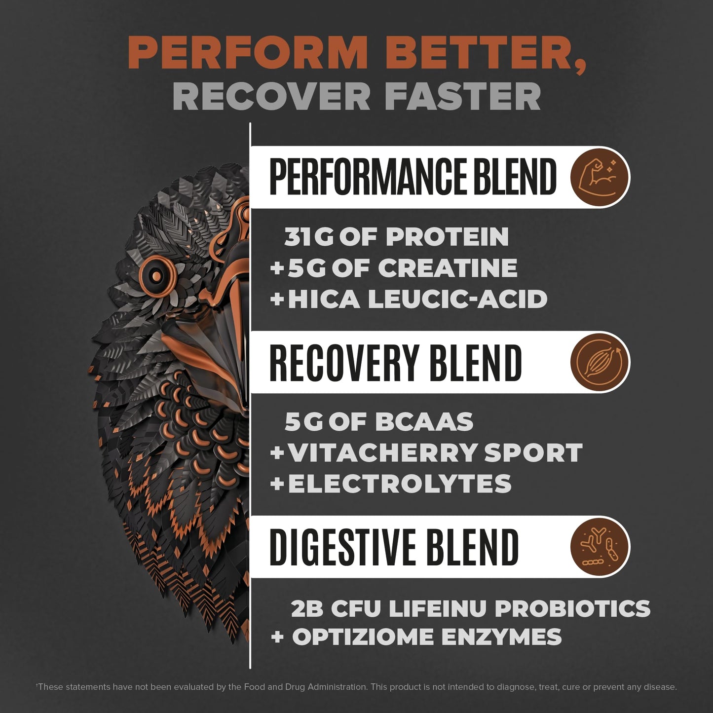 Birdman Falcon Performance Vegan Protein Powder, 31g Protein, 5g Creatine, 5g BCAA, Probiotics, Electrolytes, Pre Workout, Low Carb, Sugar Free & Dairy Free, Plant Based Chocolate Protein -19 servings