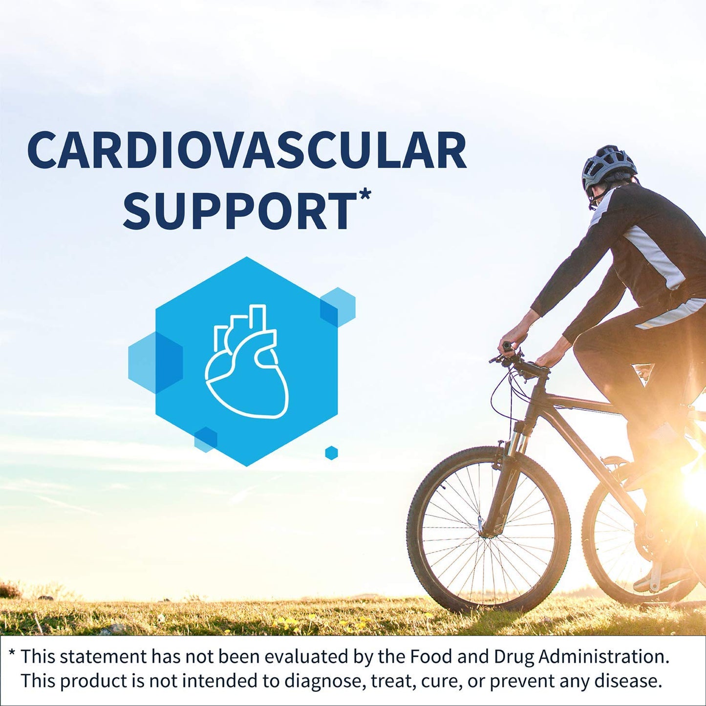 Klaire Labs L-Carnitine Tartrate - 500 mg Amino Acid, Stabilized L-Carnitine - No Synthetic D-Carnitine (60 Capsules)