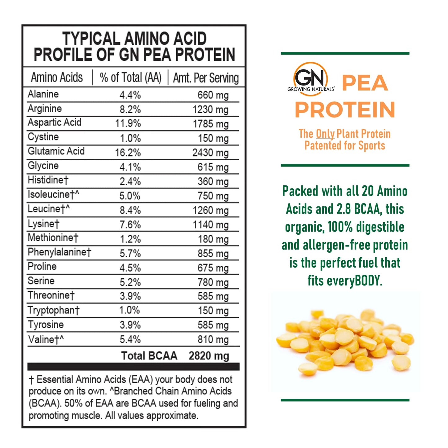 Plant Based Protein, Original Gold Standard Raw Pea Protein Powder - Growing Naturals - Non-GMO, Vegan, Gluten-Free, Keto Friendly, Shelf-Stable (Original Unflavored, 2 Pound (Pack of 1))