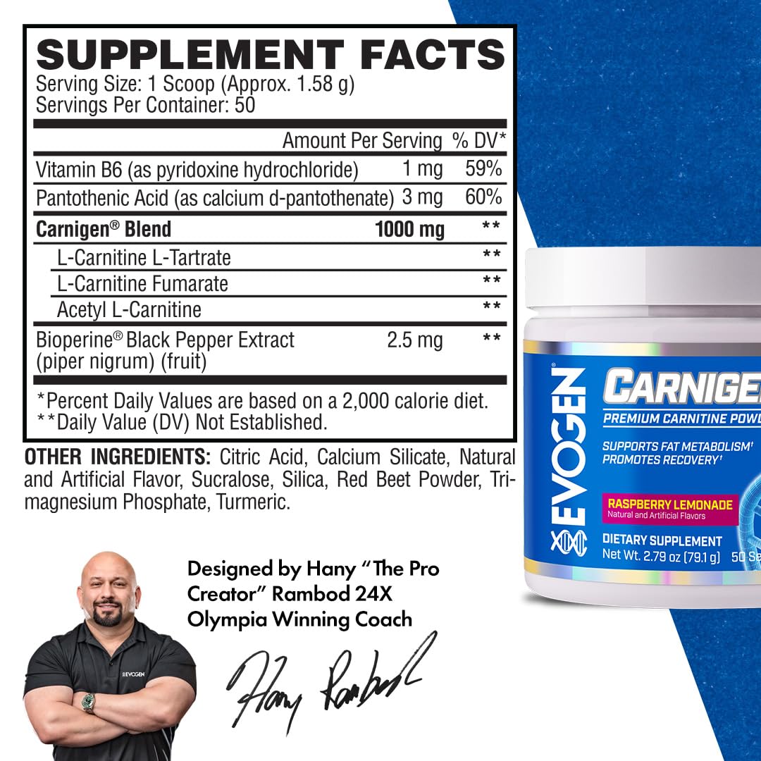 Evogen Carnigen - Premium Carnitine Powder | Supports Fat Metabolism & Promotes Recovery | Stimulant-Free L Carnitine Supplement Matrix with Acetyl L-Carnitine | Raspberry Lemonade | 50 Servings