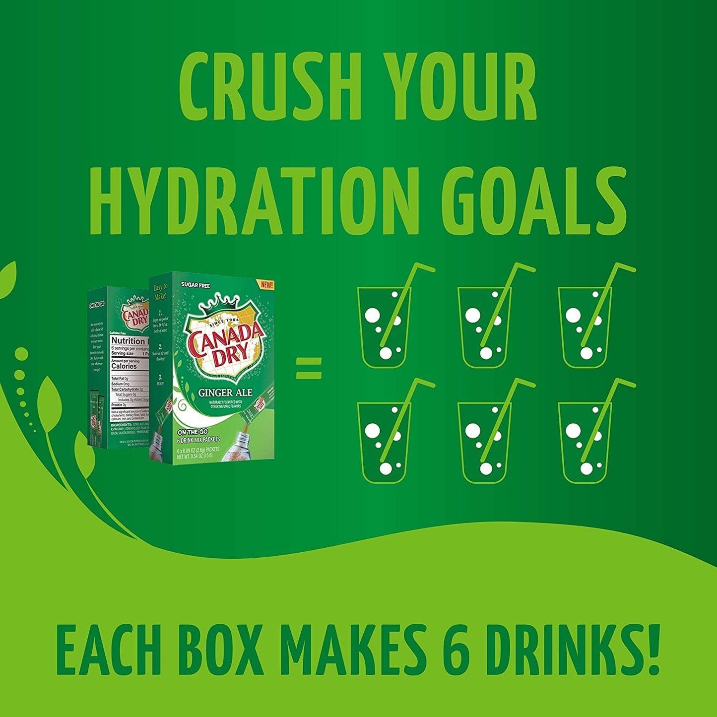 Canada Dry Ginger Ale Powdered Drink Mix 6 Boxes of 6 packets with 3 Boxes each of Original and Cranberry flavor for Total 36 Sticks bundle packaged by DElite Box